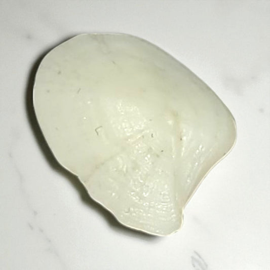 Natural Moonstone – 5.60 Carat
