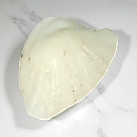 Natural Moonstone – 5.95 Carat