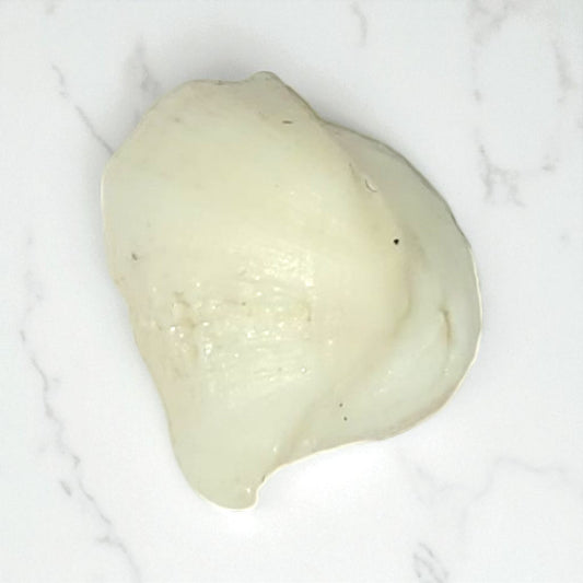 Natural Moonstone – 7.00 Carat
