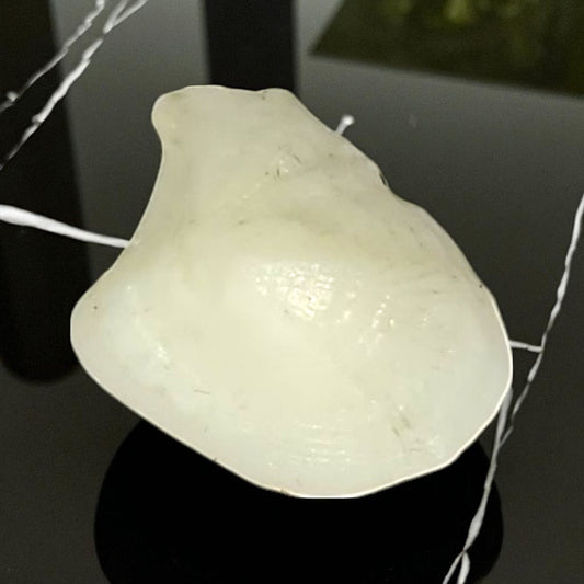 Natural Moonstone – 7.65 Carat